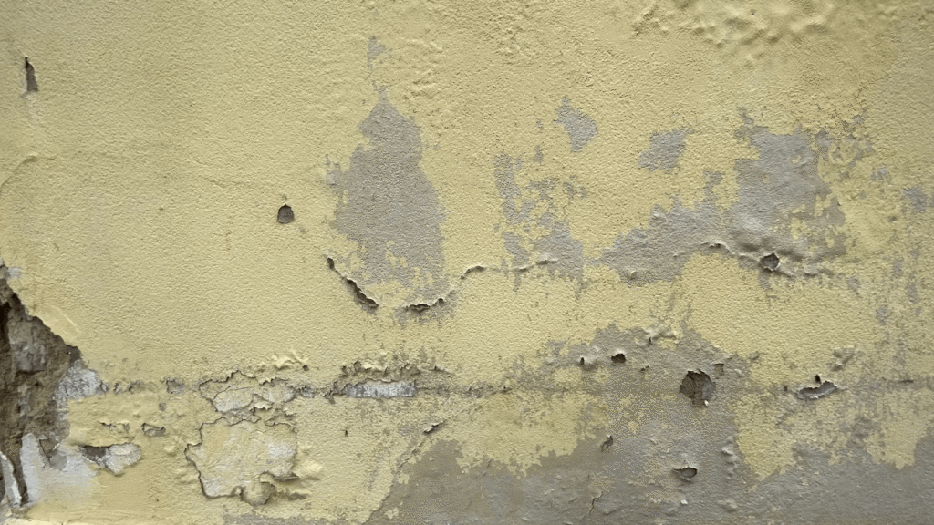 peeling paint